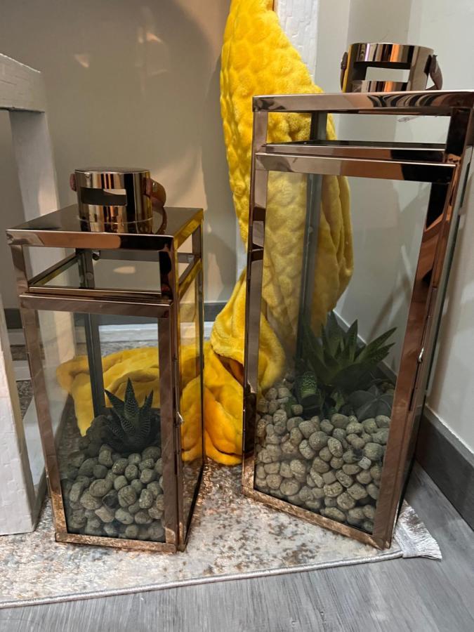 Casa Das Flores Ll 帕雷迪什迪科拉 外观 照片